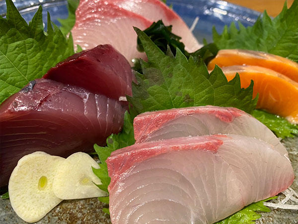 onecoin-sashimi